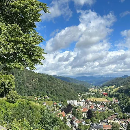 Lopezan And Living Appartamento Hornberg